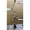 Live Plant Scarlet Surprise (Bill's Red Flesh) grafted, roots wrapped