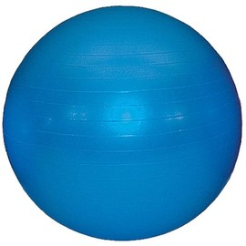 Great Lakes Sports 26" (65cm) Anti-Burst Exercise Ball