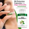 Bioherb Alga Chlorella Orgánica 100 Pura Cápsulas 500 Superfood Natural