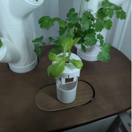 Grow Cubes for Hydroponic System/Compatible with Gardyn (20 Grow Cubes)