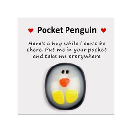 A Little Pocket Penguin Hug, Mini Animal Pocket Hug Penguin Decoration, Special Cute Penguin Pocket Keepsake Ornament, Encourage Gift for Friends,Lovers, Birthday, Wedding,Penguin