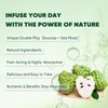 Simply Sours Soursop Extract, Graviola Soursop Bitters Liquid Drops Herbal