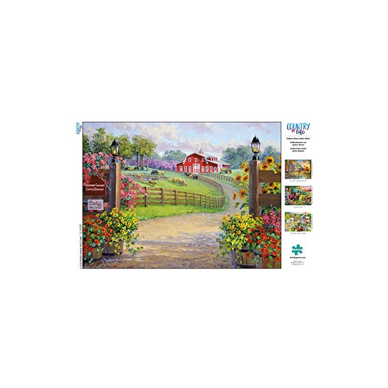 Buffalo Games - A Southern Warm Welcome - Rompecabezas de