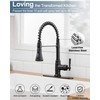 HOIGY Black Kitchen Faucet with Pull Down Sprayer, 3-Function Kitchen