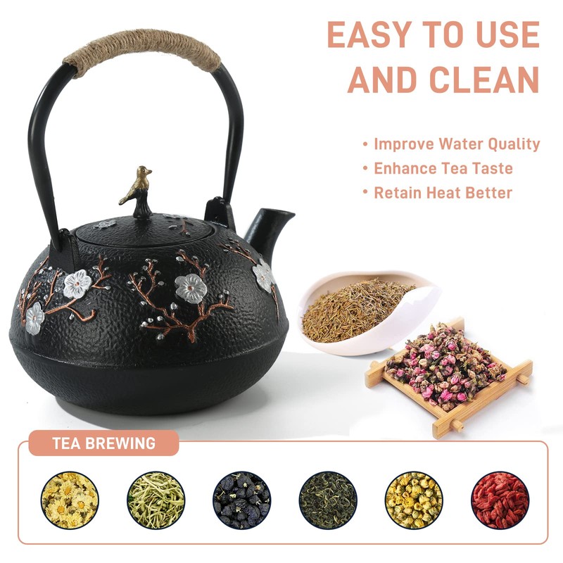Cast Iron Teapot SECHUDO Teapot for Stovetop Safe Coated with