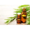 Bloom Organics Aceite Esencial De Árbol De Té 30 Ml