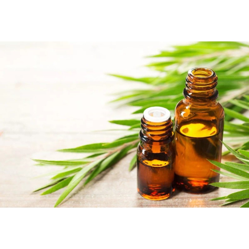 Bloom Organics Aceite Esencial De Árbol De Té 30 Ml