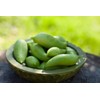 Serendipity Seeds 10 Heirloom Seeds- Caigua -Cyclanthera pedata- Rare -Unique