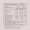 Creatine Monohydrate Gummies for Women – Mixed Berry Flavor Chewable