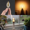 C7 LED Bulb, 0.5W Light Candle Bulbs, Amber Glow 5w