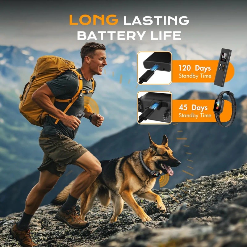 Collar De Adiestramiento De Perros Eléctrico Teledirigido