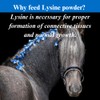 SU-PER Lysine Supplement for Horses - Supports Healthy Bones &
