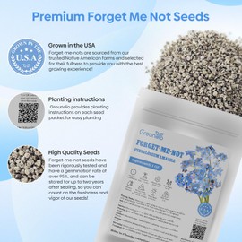 Groundio Forget Me Not Seeds for Outdoor Planting, 1 OZ, Perennial Little Blue Wildflower Ground Cover, Grown in The USA, Attract Poillinators
