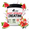 Olimp Rocky Athletes Creatine - 250 g, Watermelon Ice -