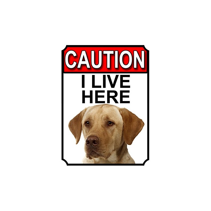 CAUTION I LIVE HERE METAL GATE SIGN YELLOW LABRADOR THEME