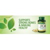 Nature's Bounty Immune Health Vitamin D3 5000 iu, Rapid Release