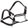 Cwell Equine NEW Leather Halter Padded with SS Buckles 6/8"-Cob,