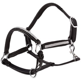 Cwell Equine NEW Leather Halter Padded with SS Buckles 6/8"-Cob, Full, Pony BLACK (PONY)
