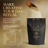 Ritua Creatine Monohydrate - Strength for Men, 300g
