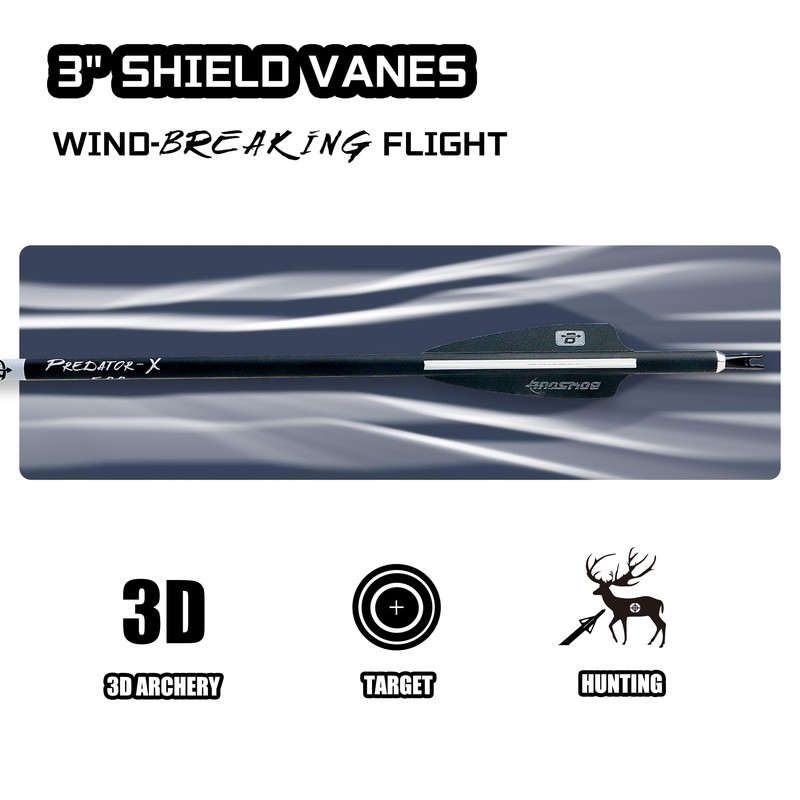 BOWSOUL 31Inch Carbon Arrows for Target Practice Hunting Arrow with
