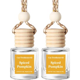 HoogaLife Car Air Freshener Diffuser 2 Pack Hanging Spiced Pumpkin Car Air Freshener for Women 45+ Days Long Lasting Fragrance Made in USA (P42)