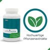 orthobiotix Milk Thistle - with Choline, Artichoke and Dandelion Extract