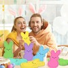 48Pcs Easter Tableware Set Bunny Shape Paper Plates and Napkins