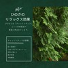 Shiyu Cypress Balls, 8 Pieces, Hinoki, Cypress, Bath, Forest Bath,