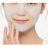 듀이트리 픽앤퀵 화장발 뜯어쓰는 더블 패드 380g, 100매입, 1개 Dewytree