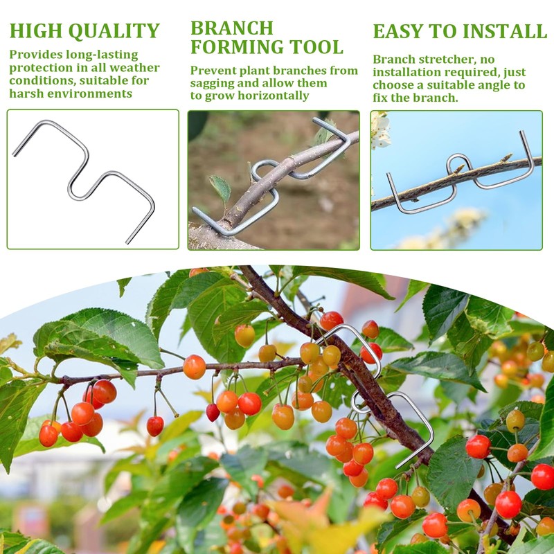 NYZQIW Pack of 30 Branch Pullers for Fruit Trees, Branch