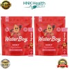 Waterboy Daily Hydration Electrolyte Powder – 15 Stick Packs x