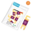 Chanzon 5Pcs 100A AFS Mini ANL (MANL) Fuse Color Coded