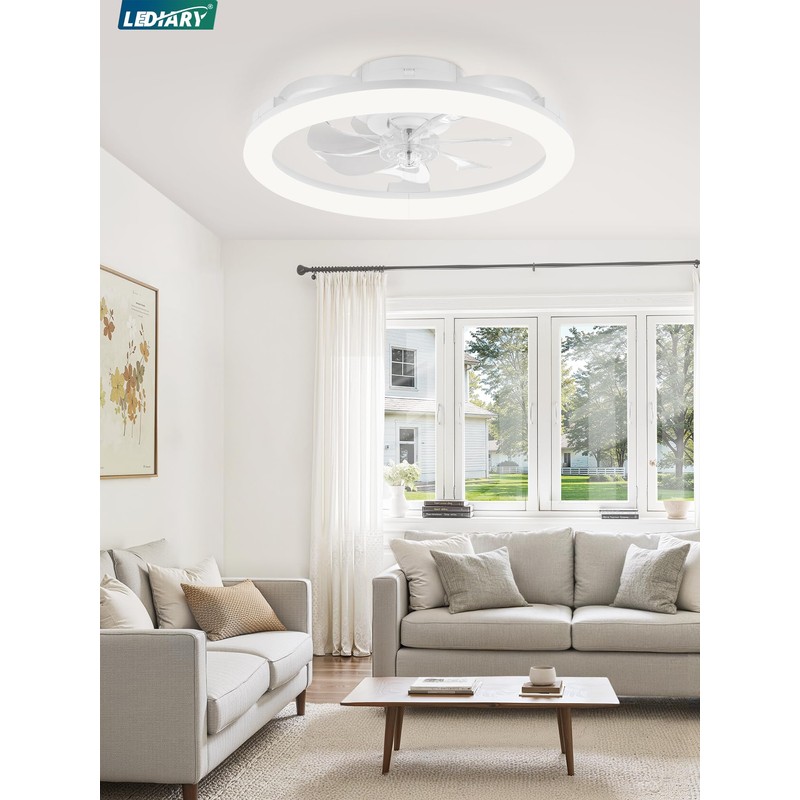 LEDIARY 20 Inch Low Profile Ceiling Fans with Lights and
