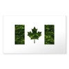 CafePress Canadian Flag with Green Camo Background Sticker Rectangle Bumper