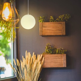 TEHAUX Ceiling Fan Light Covers, White Glass Globe Lamp Shade Replacement G9 8cm Lamps Shades Delicate Frosted Glass Lamp Shade Round Light Covers for Ceiling Lights