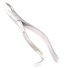 LAJA IMPORTS 1PC Dental Instrument 18L EXTRACTING Forceps Stainless Steel