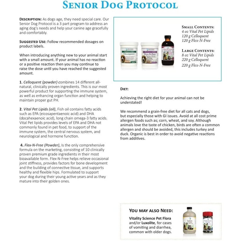 Senior Dog Protocol (Large)