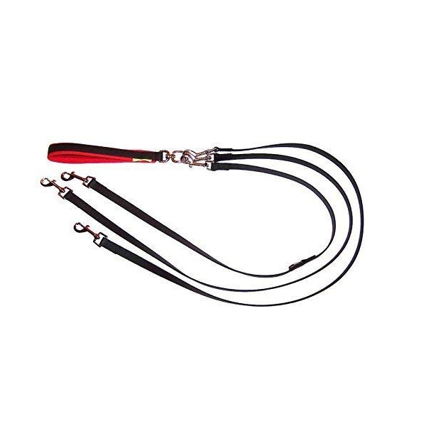 BALDOLINO Original Biothane Double Lead for Three Dogs, Padded Hand