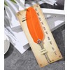 Gullor Calligraphy Feather Quill Pen and 5 Calligraphy Nibs for