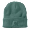 Carhartt Unisex Knit Beanie, Slate Green