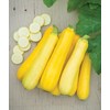 Squash Seeds Golden Zucchini 25 Seeds by OrginBud