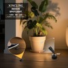 XINCLING Uplights Indoor, 10W LED Uplighting & Spot Lights with