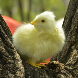 bvdtitb Easter Yellow Baby Chicks 7 Set,Simulated Fake Chicken Figurine Lifelike Stuffed Farm Animal,Realistic Plush Chick Photography Props Spring Home Decor Furry Chickens Birthday Gift Kids Toys