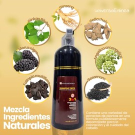 Kit Cepillo p/ aplicación de tinte, Shampoo tinte con jengibre Instantáneo Cubre Canas Natural en Ducha 3 en 1, 20 minutos (Negro)