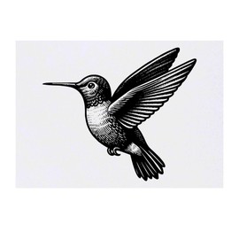 'Hummingbird in Flight' Temporary Tattoo - Water Resistant, Skin-Safe, Non-Toxic Transfer (TO00070333)