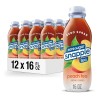 Snapple Zero Sugar Peach Tea, 16 fl oz Recycled Plastic