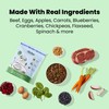 The Pets Table Beef & Berries Grain-Free Air Dried Dog