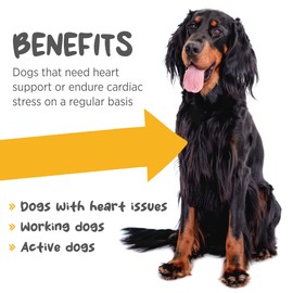 maxxipaws maxxicardio Heart and Cardiovascular Supplement for Dogs – Powder 150 g