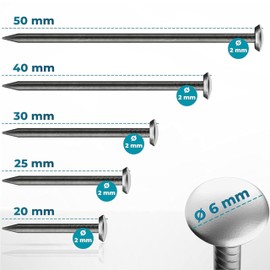 FIXXIA 50 Steel Nails with Silver Head Mixed Lengths 20/25/30/40/50 mm, Picture Nails, Picture Hanger, Concrete Nails, Hanger for Pictures (Including Impact Aid)