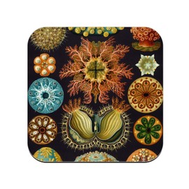 Cork Coaster - Coral Board Engraved Ancient Biology Drawing - 1 Piece (95x95mm)